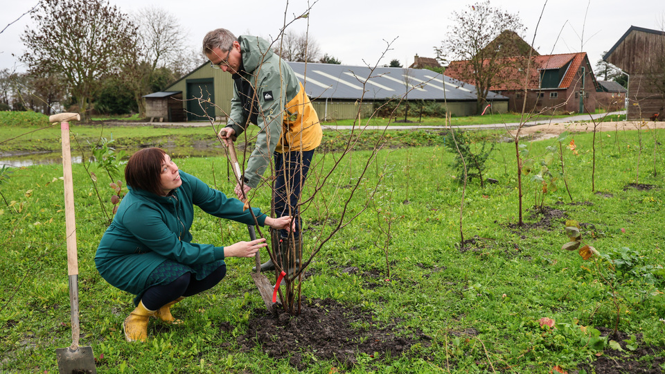 Foto Voedselbos Hauwert uit NHD